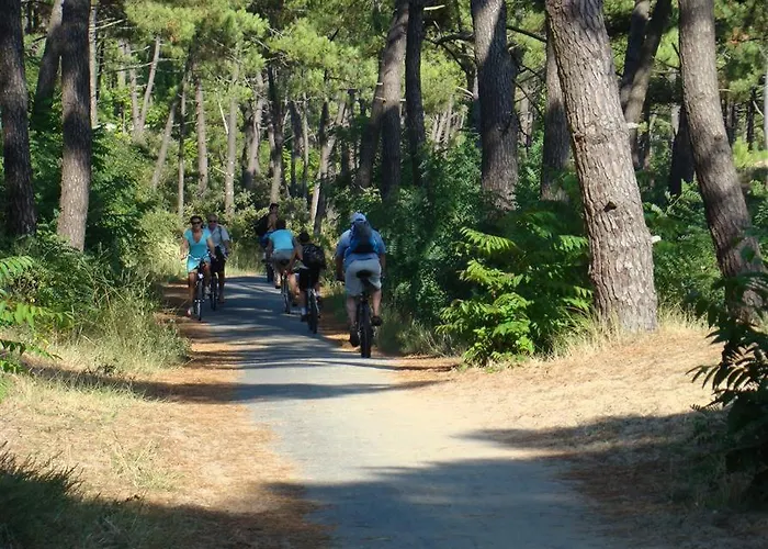 La Palmyre - - Mobil 3 Ch Luxueux De 40m2 - Grand Emplacement Dans Village Loisirs 4 Etoiles - 