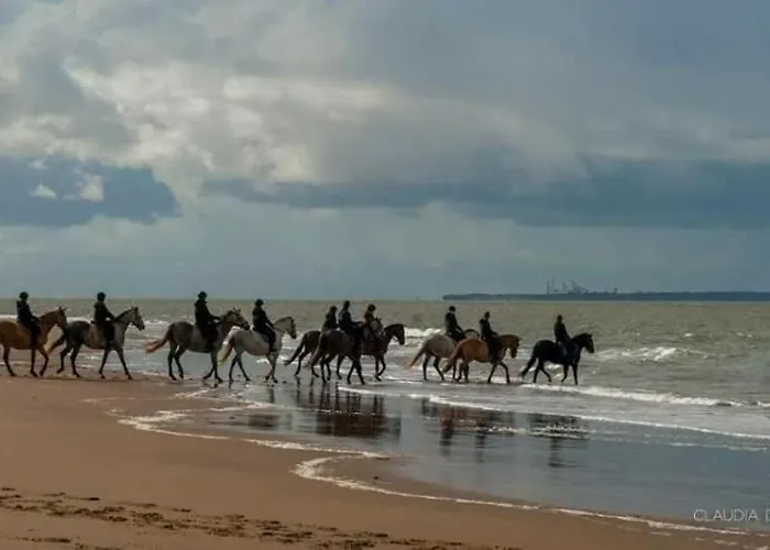 La Palmyre - - Mobil 3 Ch Luxueux De 40m2 - Grand Emplacement Dans Village Loisirs 4 Etoiles - 