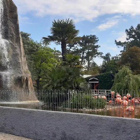 La Palmyre - - Mobil 3 Ch Luxueux De 40m2 - Grand Emplacement Dans Village Loisirs 4 Etoiles - 