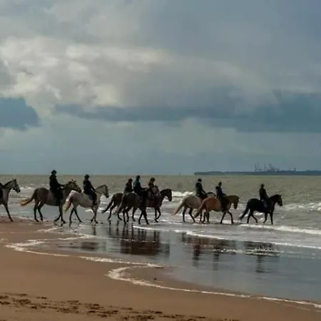 La Palmyre - - Mobil 3 Ch Luxueux De 40m2 - Grand Emplacement Dans Village Loisirs 4 Etoiles - 